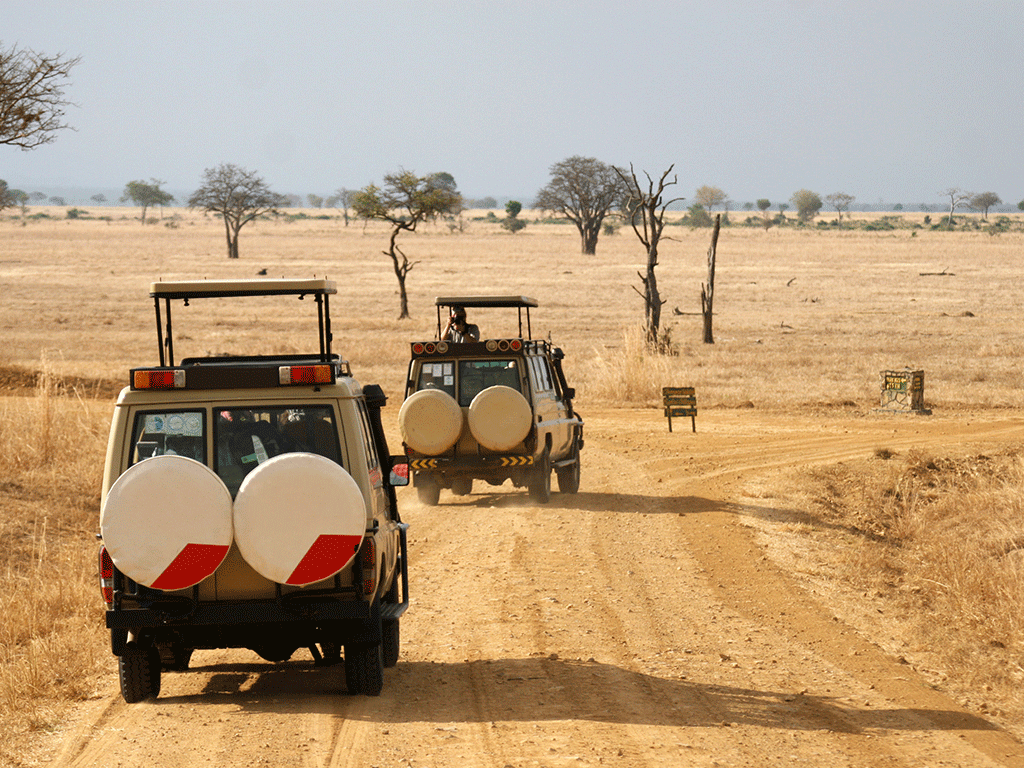 Comment se rendre en Afrique du Sud?