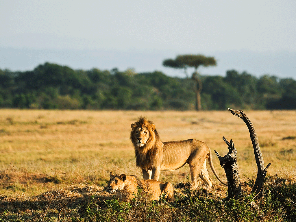 Quand Partir en Afrique du Sud?