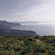 Plutôt été ou hiver, montagne ou plage ?