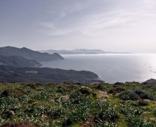 Plutôt été ou hiver, montagne ou plage ?