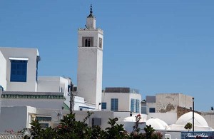 Le village et le minaret de Sidi Bou Saïd