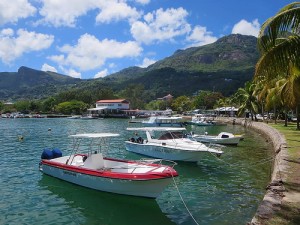 Une partie de pêche aux Seychelles