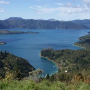 Que voir en Océanie ? Découvrez le meilleur de la Nouvelle-Zélande