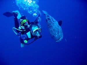 Plongé dans l'Océan Indien