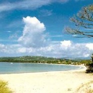 Découvrez les plages des Pyrénées-Orientales !