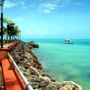 La Guadeloupe une destination privilégiée pour sa beauté et sa nature généreuse