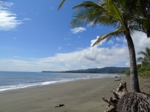 Golfo Dulce Costa Rica - Osa peninsula