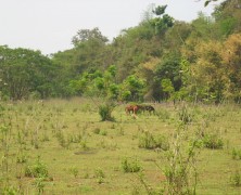 Les raisons pour une randonnée au Laos