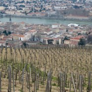 Des vacances autour des vins de la Vallée du Rhône