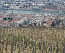 Des vacances autour des vins de la Vallée du Rhône