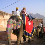 Les incontournables du pays de Ghandi