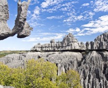 Ce qu’il faut savoir sur les parcs et réserves malgaches