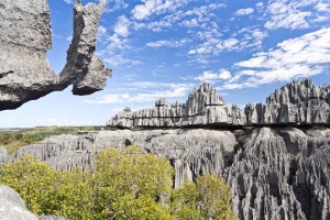 Tsingy de Bemaraha-national Park