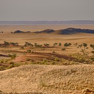 Un voyage dépaysant dans le désert de Namibie