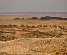 Un voyage dépaysant dans le désert de Namibie