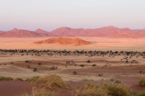 dune namibie