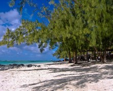 Un voyage de noces en Ile Maurice