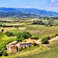 Découvrir la Provence à travers ses traditions