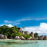 Plongée aux Seychelles