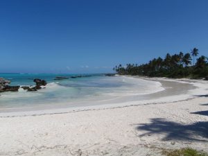 Beach_at_Matemwe