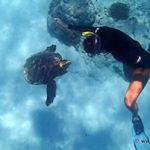 Le snorkeling dans les îles de l’Océan Indien