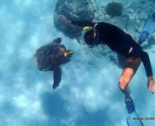 Le snorkeling dans les îles de l’Océan Indien