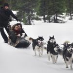 10 raisons d’explorer l’Alberta, été comme hiver