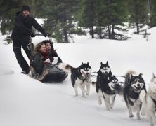 10 raisons d’explorer l’Alberta, été comme hiver