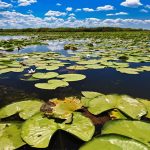 10 choses à savoir sur le Delta du Danube