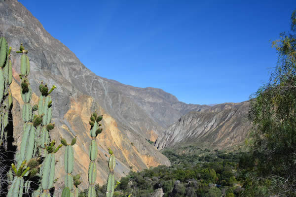 canyon-del-colca-modifie