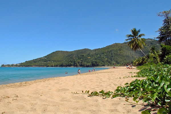 plage-guadeloupe-petite terre