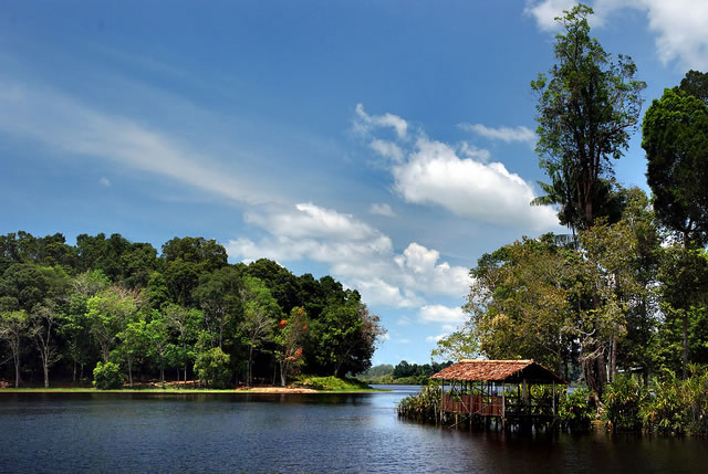 paysage-brunei