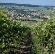 Découvrez Épernay, ville du champagne