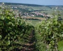 Découvrez Épernay, ville du champagne