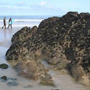 Faire du surf au Royaume-Uni