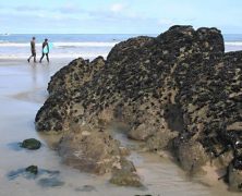 Faire du surf au Royaume-Uni