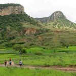 Partir à la découverte de la biodiversité malgache