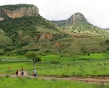 Partir à la découverte de la biodiversité malgache