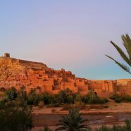 Partez à la découverte de Marrakech et sa Palmeraie