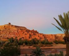 Partez à la découverte de Marrakech et sa Palmeraie