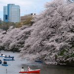 Conseils pour partir au Japon en famille