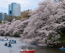 Conseils pour partir au Japon en famille