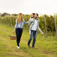 Passez un séjour inoubliable en pleine nature en France