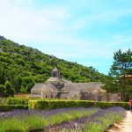 La Provence, une région riche en traditions avec une forte identité culturelle