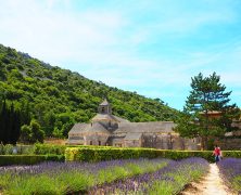 La Provence, une région riche en traditions avec une forte identité culturelle