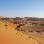 Voyage en Namibie : la nature à l’état brut