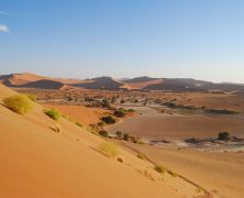 Voyage en Namibie : la nature à l’état brut