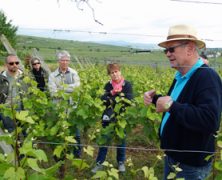 Voyage au cœur du vignoble alsacien