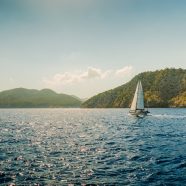 La location de bateau : l’opportunité de découvrir la vie marine sans perturber son écosystème