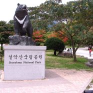Quelques idées d’activités à prévoir au cours d’un séjour en Corée